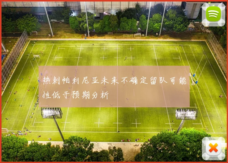 热刺帕利尼亚未来不确定留队可能性低于预期分析