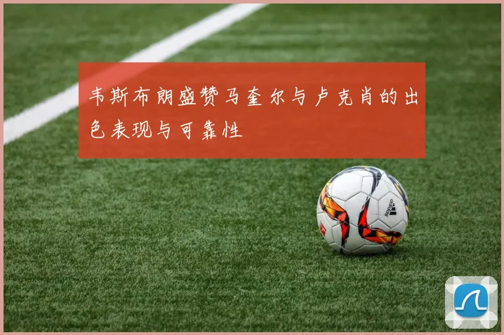 韦斯布朗盛赞马奎尔与卢克肖的出色表现与可靠性